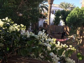 Sunrise Dahab Camp