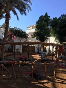 Sunrise Dahab Camp