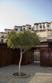 Sharks Bay Umbi Diving Village