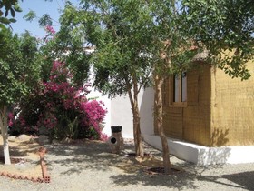Sharks Bay Umbi Diving Village
