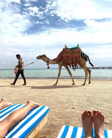 Romance Regency Club