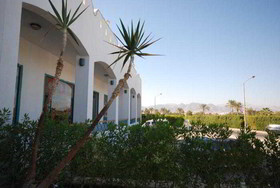 Dive Inn Resort