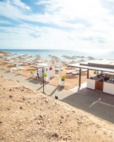 Domina Coral Bay Harem