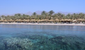 JAZ Sharm Dreams