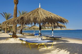 JAZ Sharm Dreams