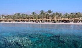JAZ Sharm Dreams