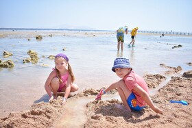 Parrotel Aqua Park Resort