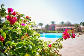 Parrotel Aqua Park Resort