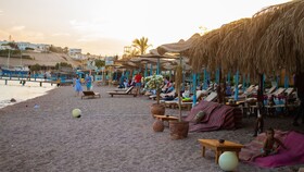 Sharks Bay Hotel & Padi Butterfly