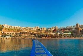 Sharks Bay Hotel & Padi Butterfly
