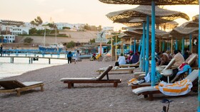 Sharks Bay Hotel & Padi Butterfly