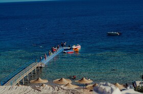 Sharks Bay Hotel & Padi Butterfly