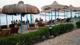 Sharks Bay Hotel & Padi Butterfly