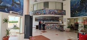 Sharks Bay Hotel & Padi Butterfly