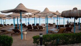 Sharks Bay Hotel & Padi Butterfly