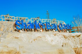 Sharks Bay Hotel & Padi Butterfly