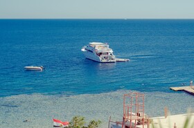 Sharks Bay Hotel & Padi Butterfly