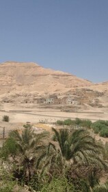 Azab Desert Safari