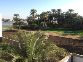 Jewel of the Valley Howard Carter House