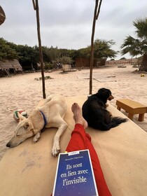 Dar Tawarta Dakhla