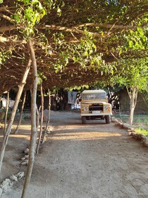 Dar Tawarta Dakhla