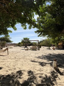 Dar Tawarta Dakhla