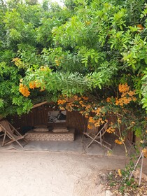 Dar Tawarta Dakhla