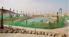 Les Dunes de Dakhla