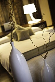 Las Terrazas Hotel & Suites