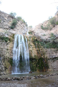 El Tajil