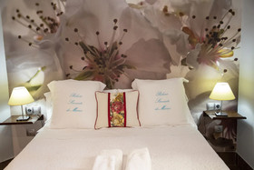 Palacio Sirvente de Mieres