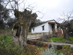 Finca Valbono