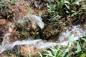 Apartamentos Rurales Campillo