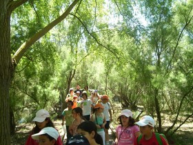 Camping Dehesa Nueva