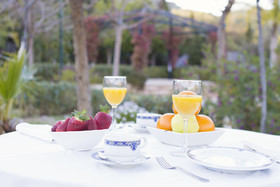 Hotel Cortijo San Antonio