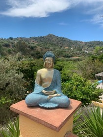 Lemon Grove Farmhouse