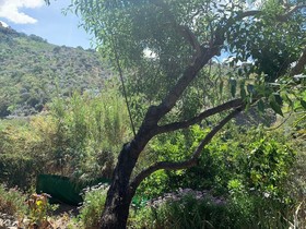 Lemon Grove Farmhouse