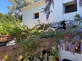 Lemon Grove Farmhouse