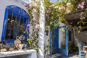 Casa Rural Aloe Vera