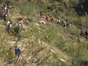Reul Alto Cortijos Rurales
