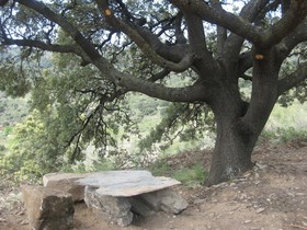 Reul Alto Cortijos Rurales