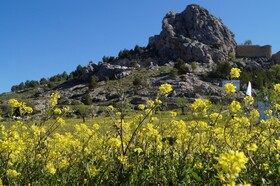Casa de La Placeta del Rincon