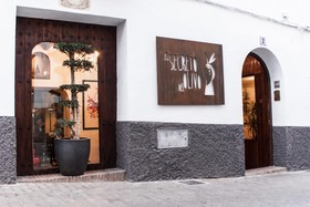 El Secreto del Olivo
