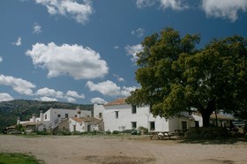 Algaba De Ronda