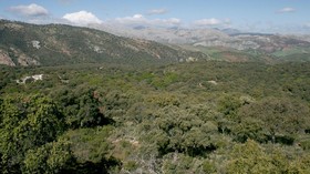 Algaba De Ronda