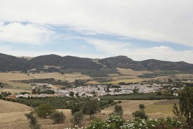 Arriadh Hotel