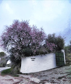 Casa Santa Ana