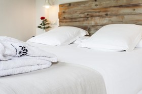 Hotel Boutique Elvira Plaza