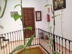 Hostal Ssan Lorenzo