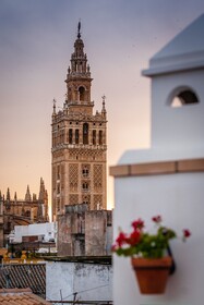 Murillo Hotel
